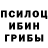 Галлюциногенные грибы Psilocybe keka