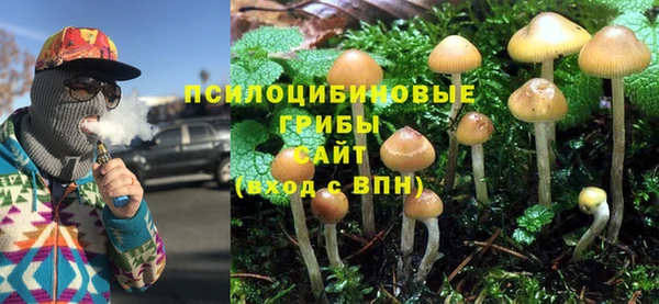хмурый Карпинск