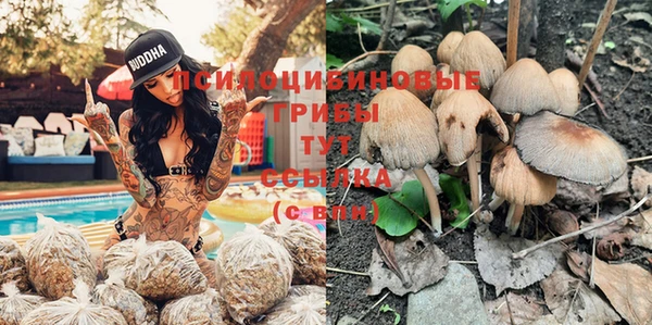 COCAINE Вязники