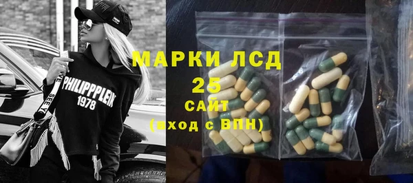 хмурый Карпинск
