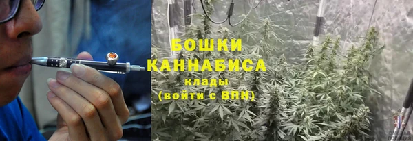 хмурый Карпинск