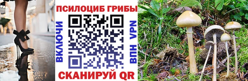 Галлюциногенные грибы ЛСД  купить закладку  Удачный 